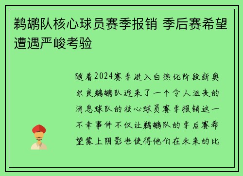 鹈鹕队核心球员赛季报销 季后赛希望遭遇严峻考验