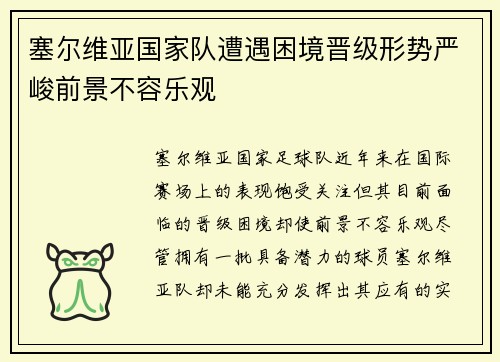塞尔维亚国家队遭遇困境晋级形势严峻前景不容乐观